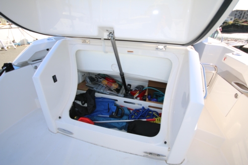 2018 Tiara Yachts C39 Coupe, Storage trunk