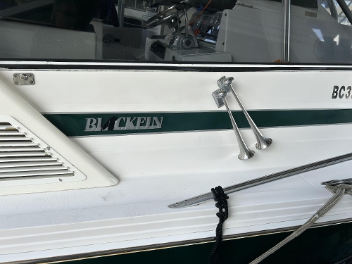 1995 Blackfin 33 Combi REPOWERED, 