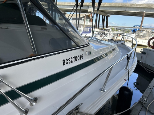 1995 Blackfin 33 Combi REPOWERED, 