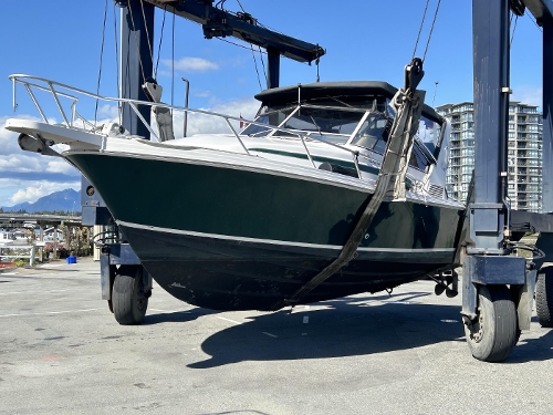 1995 Blackfin 33 Combi REPOWERED, 