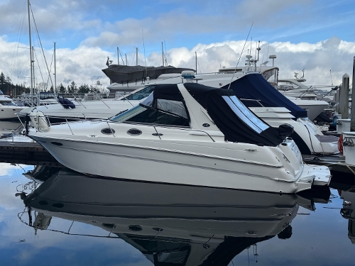 Sea Ray 290 Sundancer