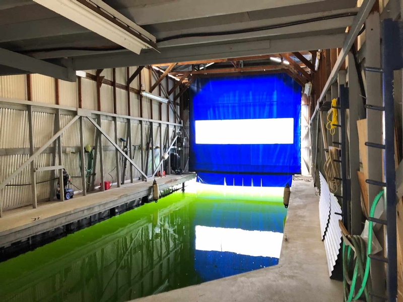 Lynnwood Marina Slip Interior