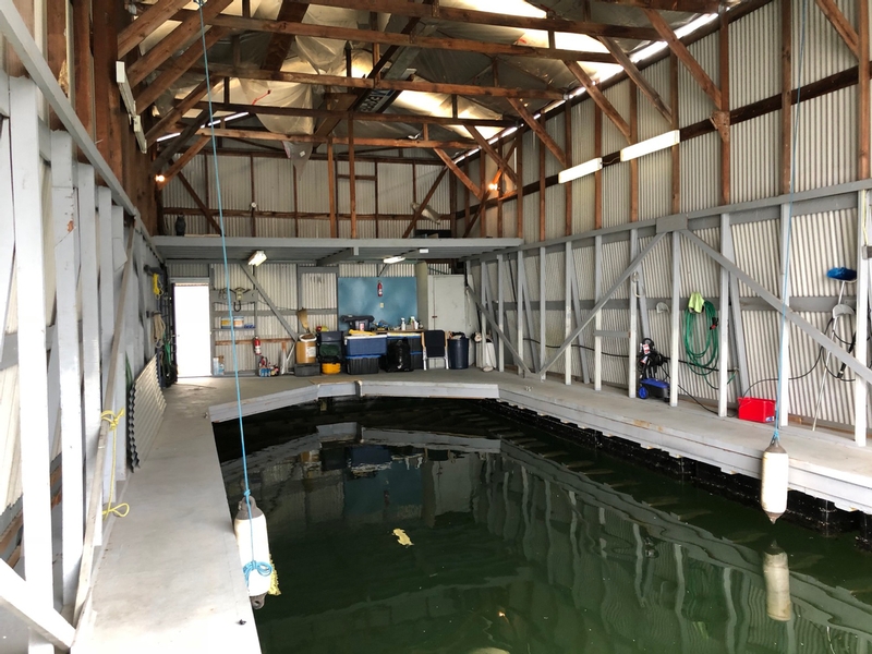 Lynnwood Marina Slip Interior